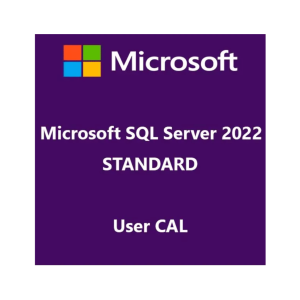 רישיון Windows SQL Server 2022 Standard Edition|25 User/Cal