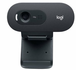 מצלמת רשת Logitech C505 Mic Retail