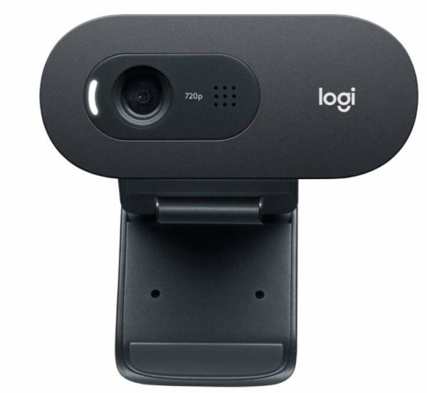 מצלמת רשת Logitech C505 Mic Retail