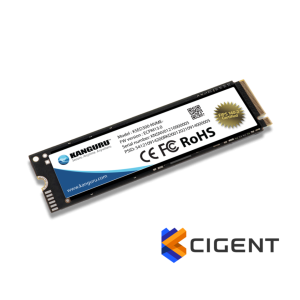 דיסק - Kanguru Defender SED300™ + Cigent FIPS 140-2 Certified